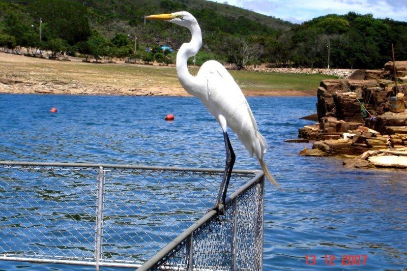 סאו ז'וזה דה בארה Pousada Araras Lago De Furnas מראה חיצוני תמונה